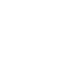 Organisation